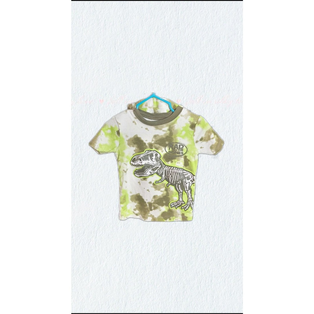 2T Dinosaur Boys Summer PJs